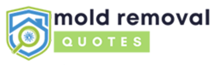 mold removal rapid city sd